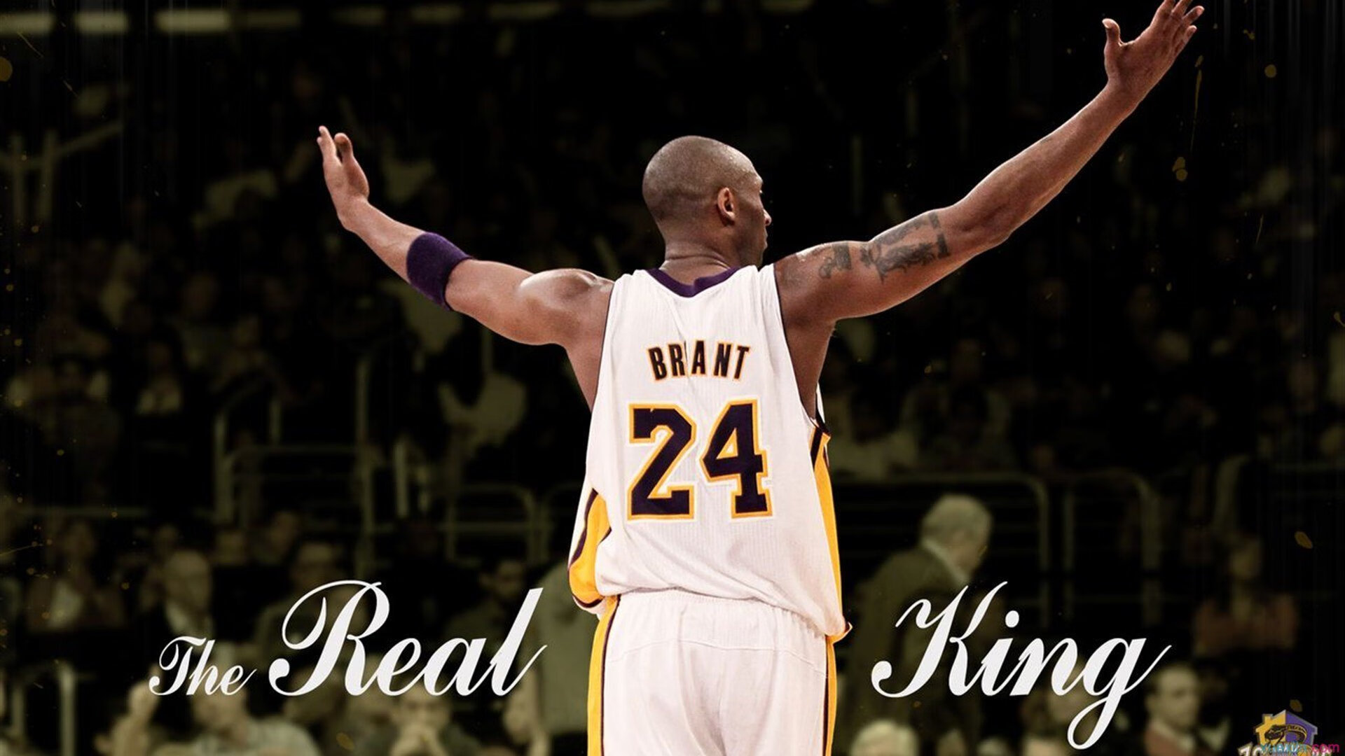 美洲杯激战正酣：精彩绝伦的攻防对决，z美洲杯